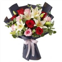 Cute Flowers Cute Flowers