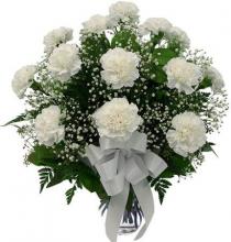 12 White Carnations Vase 12 White Carnations Vase