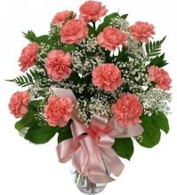 12 Peach Carnations Vase 12 Peach Carnations Vase