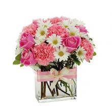 Roses, Gerberas N Carnations Roses, Gerberas N Carnations