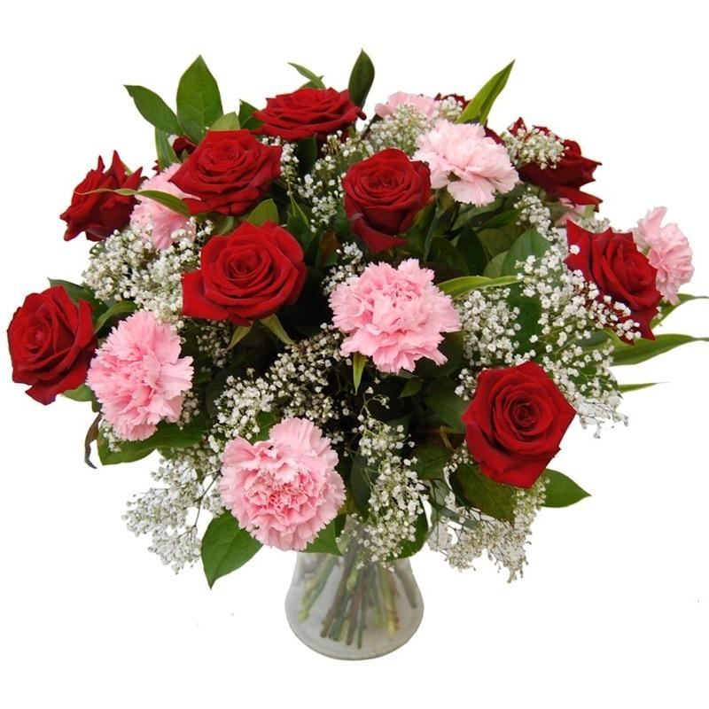 Red Rose and Pink Carnation in a Vase product1258