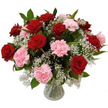 Red Rose and Pink Carnation in a Vase Red Rose and Pink Carnation in a Vase