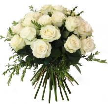 Dreamy White Roses