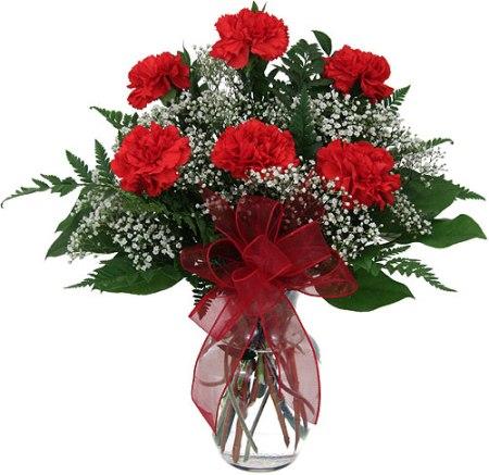 6 Red Carnations Vase product486