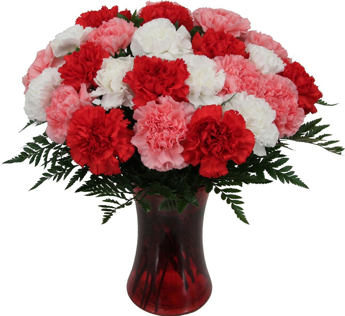 24 Mixed Carnations Vase product98